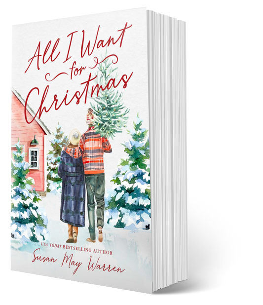 Cozy christmas novella